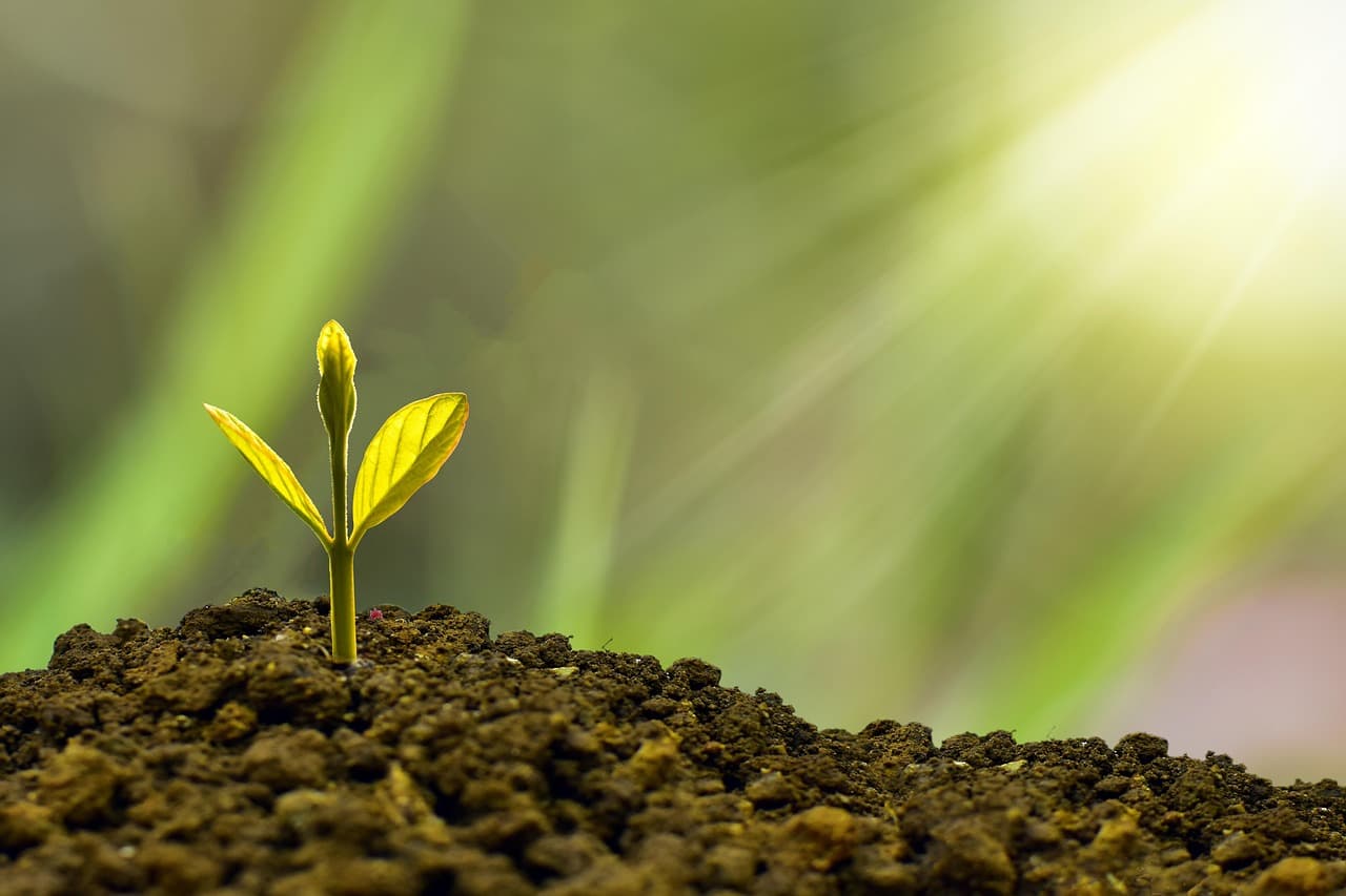Comment optimiser votre épargne : 7 conseils pratiques